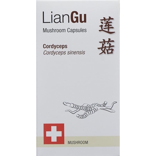 LianGu Cordyceps Mushrooms Capsules Can 60 Pieces buy online