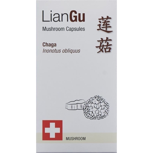 LianGu Chaga Mushrooms Capsules Can 60 Pieces buy online