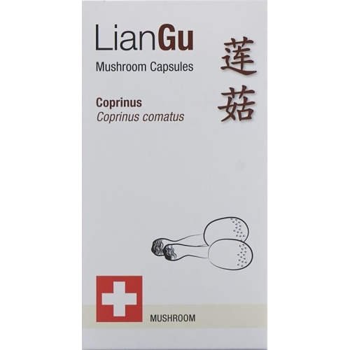 LianGu Coprinus Mushrooms Capsules Can 60 Pieces buy online