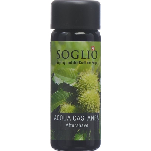 Soglio Aqua Castanea Flasche 100ml buy online