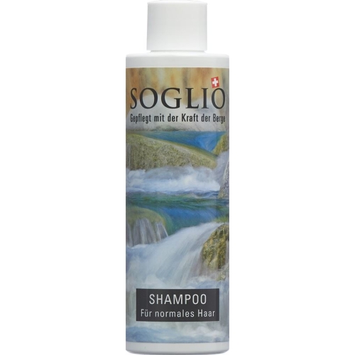 Soglio Shampoo für Normales Haar Flasche 200ml buy online