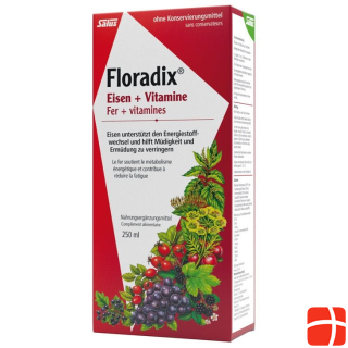 Floradix Eisen + Vitamine Saft Fl 250 ml