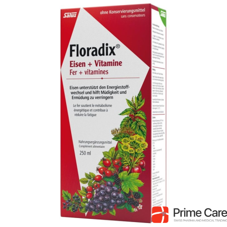 Floradix Iron + Vitamins Juice Fl 250 ml