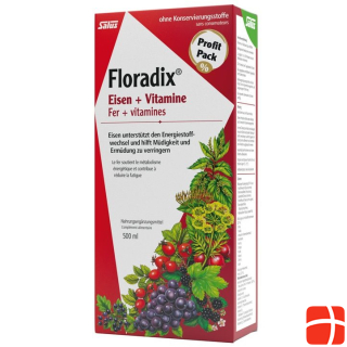 Floradix Eisen + Vitamine Saft Fl 500 ml