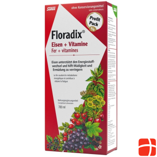 Floradix Eisen + Vitamine Saft Fl 700 ml