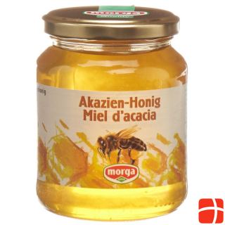 Morga Acacia Honey Foreign Jar 500 g