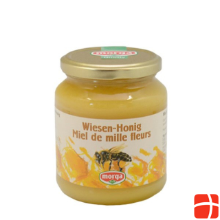MORGA Meadows honey abroad jar 500 g