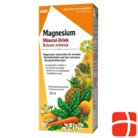 Salus Magnesium Mineral Drink 250 ml