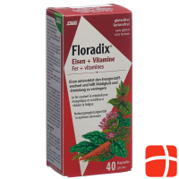 Floradix Iron + Vitamins Caps 40 Capsules