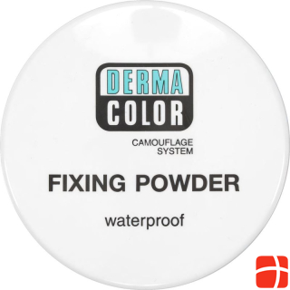 Dermacolor setting powder P2 Ds 60 g