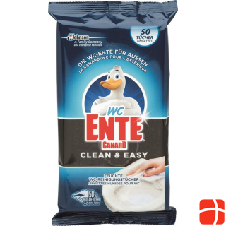 WC-ENTE CLEAN&EASY Moist WC cleaning wipes 25 pcs.