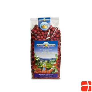 BioKing currants red freeze-dried 45 g