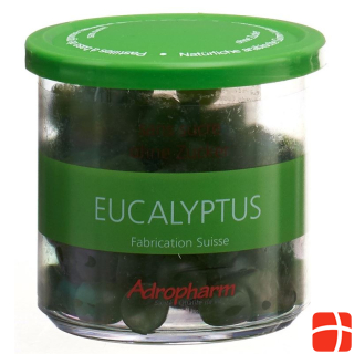 Adropharm Eucalyptus without sugar soothing pastilles 140 g