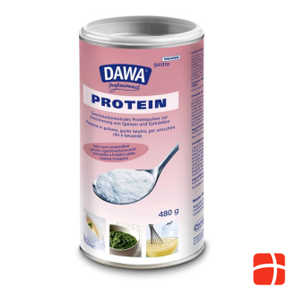 Dawa Protein Ds 480 g