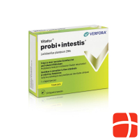 Vitafor probi-intestis Kaps Travel Pack 20 Stk
