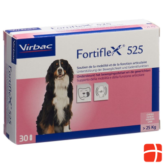 Fortiflex Tabl 525 mg Blist 30 Stk