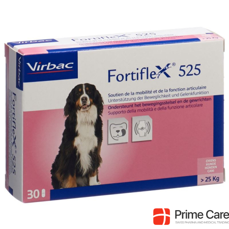 Fortiflex Tabl 525 mg Blist 30 Stk