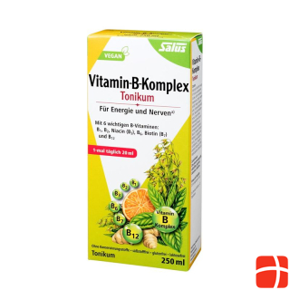 Salus Vitamin B Complex Fl 250 ml