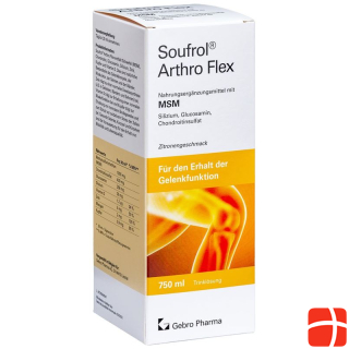 Soufrol Arthro Flex Drink Solvent Fl 750 ml