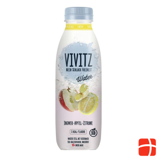 VIVITZ Water Ginger Apple Lemon 6 fl 0.5 lt