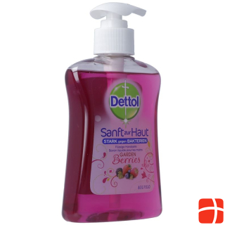 Dettol Pump Soap Gardenberries 250 ml