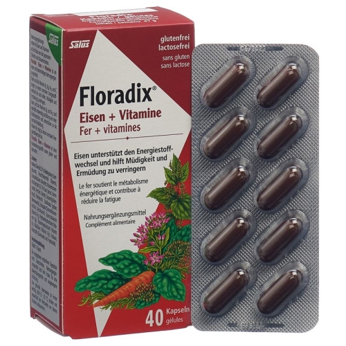 Floradix Vitamins + Organic Iron Capsules 40 Piece buy online