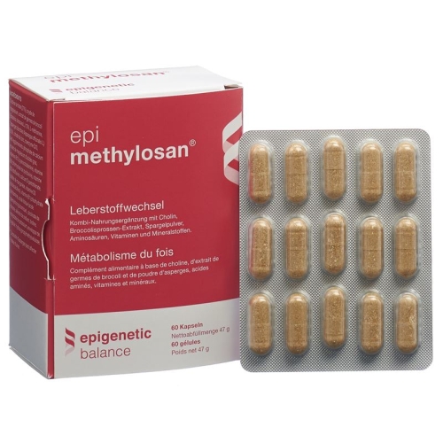 Methylosan Kapseln 60 Stück buy online