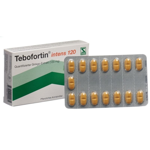 Tebofortin Intens 120 Filmtabletten 120mg 30 Stück buy online