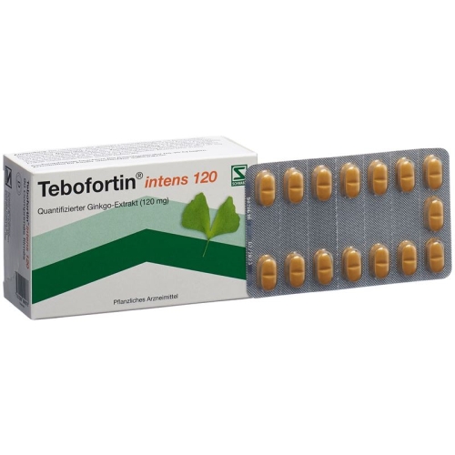 Tebofortin Intens 120 Filmtabletten 120mg 90 Stück buy online