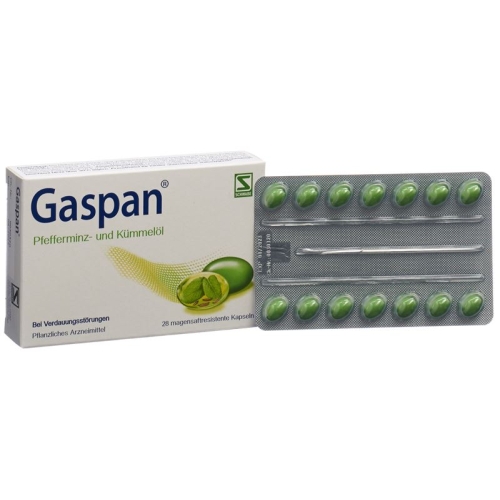 Gaspan Kapseln Magensaftresistent 28 Stück buy online