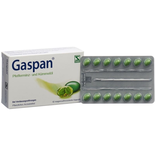 Gaspan Kapseln Magensaftresistent 42 Stück buy online