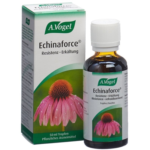 Vogel Echinaforce Resistenz-Erkältung Tropfen 50ml buy online