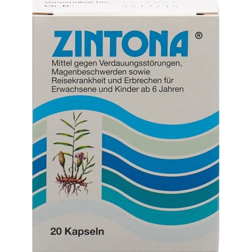 Zintona Kapseln 20 Stück buy online