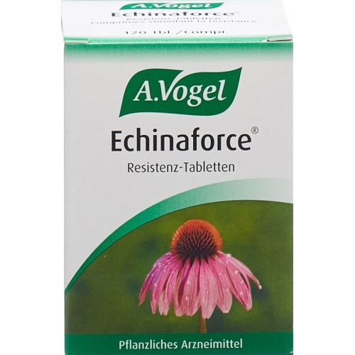 Vogel Echinaforce 120 Tabletten buy online