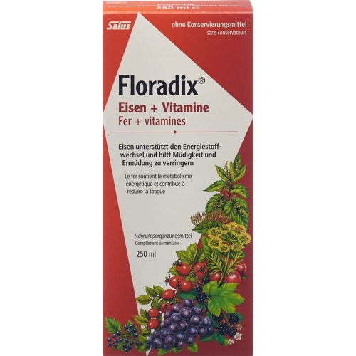 Floradix vitamins + organic iron Juice bottle 250ml buy online