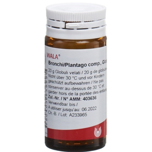 Wala Bronchi/plantago Comp Globuli 20g buy online