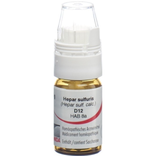 Omida Hepar Sulfuris Globuli D 12 Dosierhilfe 4g buy online