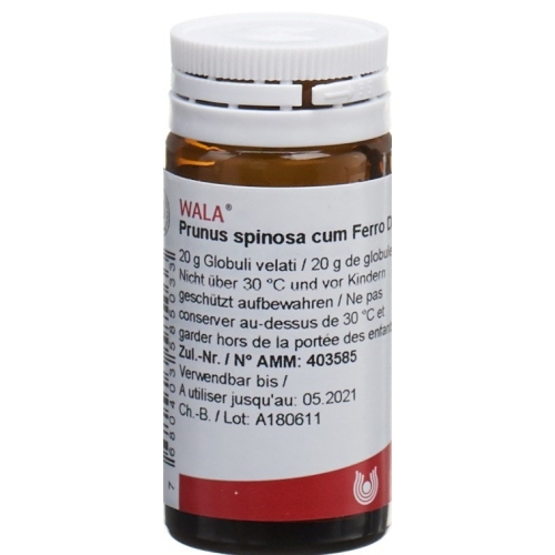 Wala Prunus Spinosa Ferm C Ferro Globuli D 3 Flasche 20g buy online