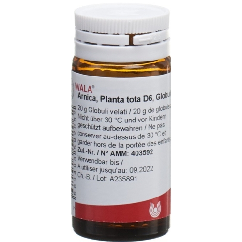 Wala Arnica E Planta Tota Globuli D 6 Flasche 20g buy online