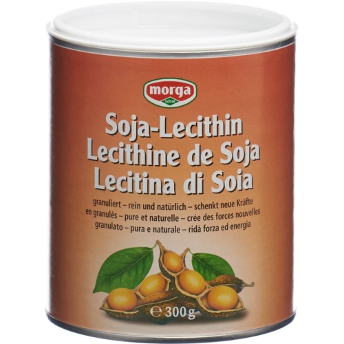 Morga Soja-Lecithin Dose 300g buy online