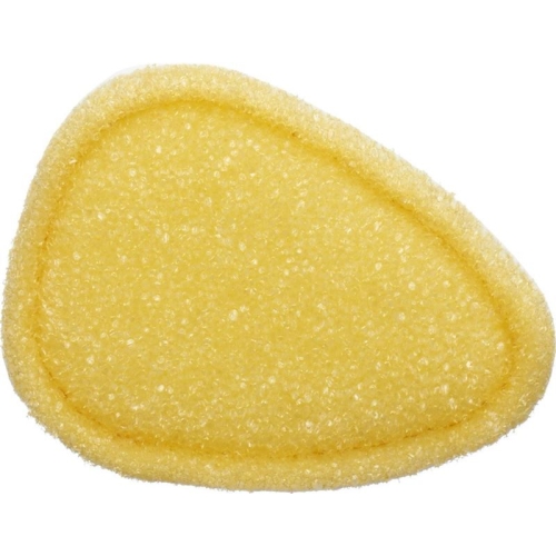 Sherteme Backhelp Exfoliating Sponge buy online