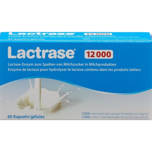 Lactrase Kapseln 12000 60 Stück buy online