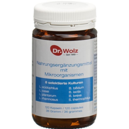 Dr. Wolz microorganisms Kaps 120 pcs