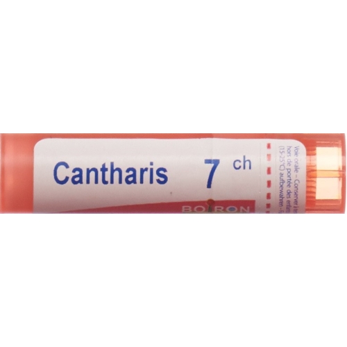 Boiron Cantharis Gran C7 4g buy online