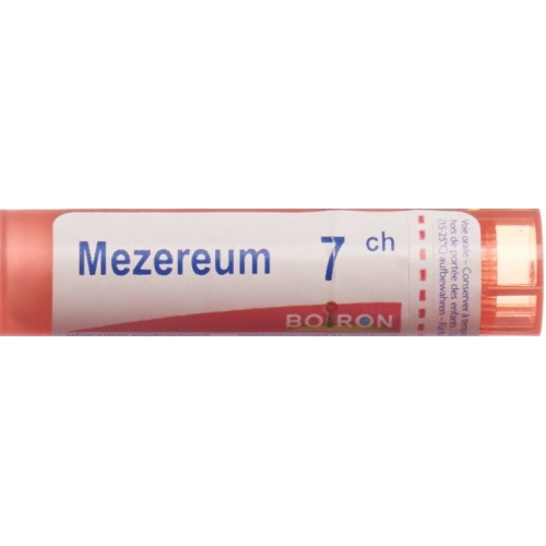 Boiron Mezereum Gran C 7 4g buy online