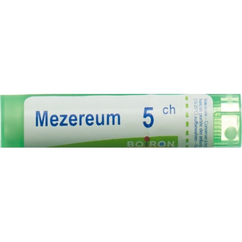 Boiron Mezereum Gran C 5 4g buy online