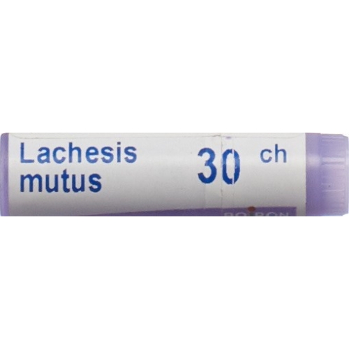 Boiron Lachesis mutus Glob C 30 1 Dos