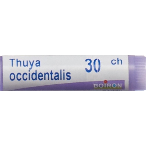 Boiron Thuya Occidentalis Globuli C 30 1 Dos buy online