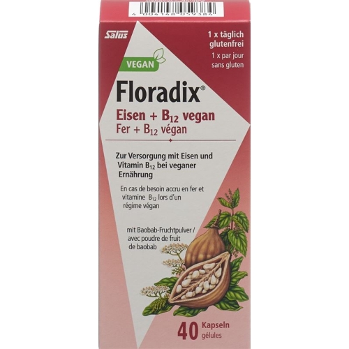 Floradix Iron + B12 Capsules Vegan 40 pieces buy online