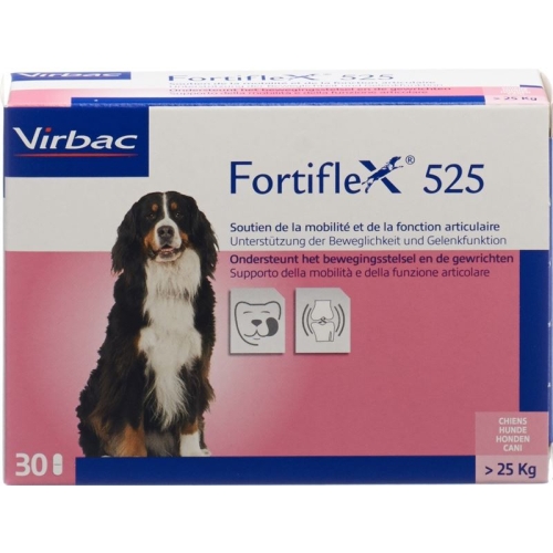 Fortiflex Tabletten 525mg Blister 30 Stück buy online